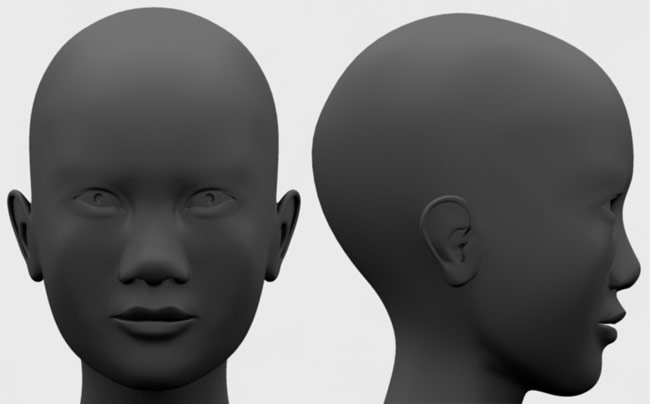 female face reference front and side