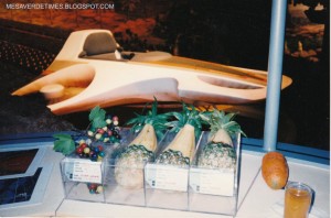 Horizons Mesa Verde Hovercraft